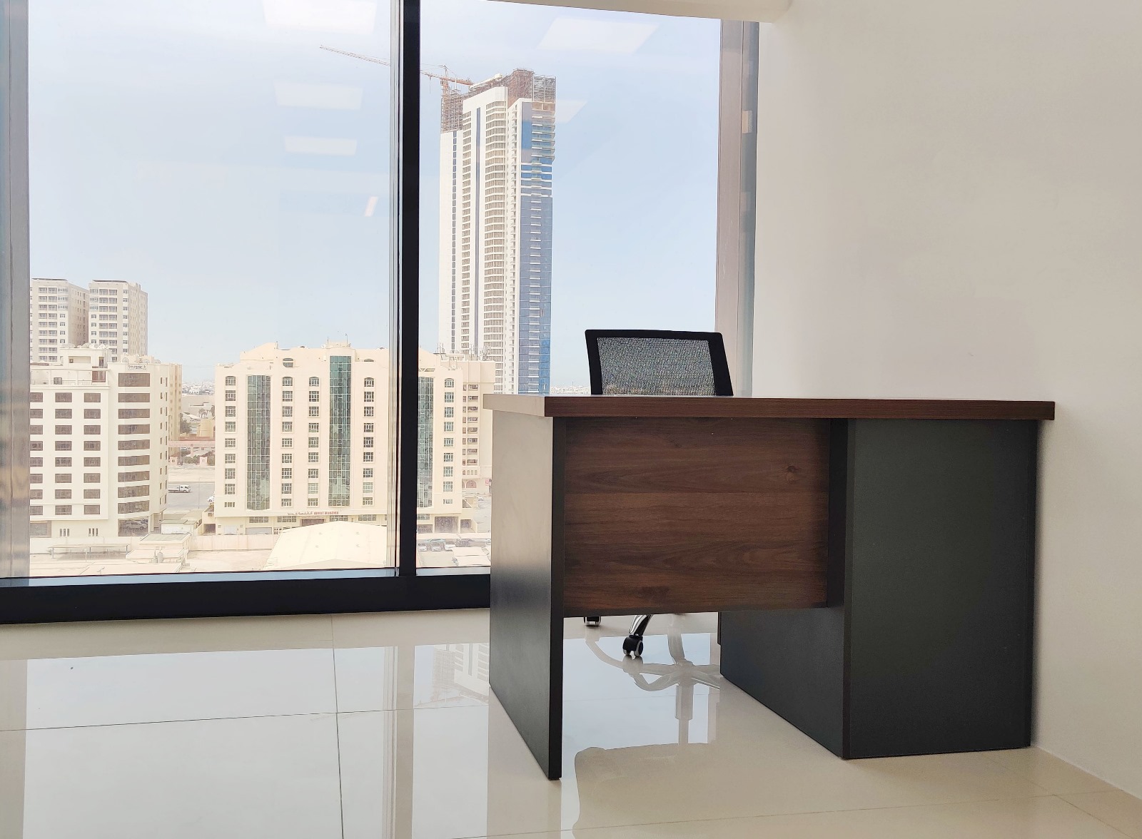 Adilya Professional Suite | 90 Bd Monthly